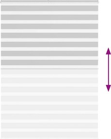 vidaXL Ζέβρα τυφλή Ανοιχτό Γκρι Πλάτος υφάσματος 155,9 εκ. Πολυεστέρας
