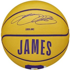 Mπάλα Μπάσκετ Wilson Nba Player Icon Mini Lebron Μωβ (Μέγεθος 3)