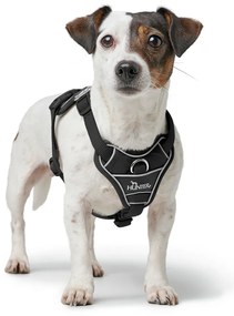 Λουρί Σκύλου Hunter DIVO UP Μαύρο S/M