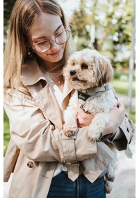 Λουρί Σκύλου Hunter DIVO UP Μπεζ M