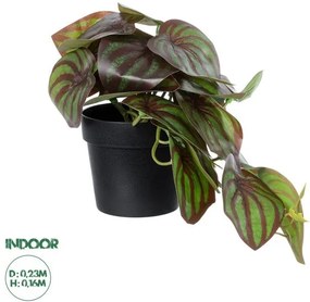 Διακοσμητικό Φυτό Καφέ Πεπερόμια Artificial Garden 20952 Globostar-20952-Καφέ 20952