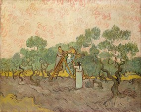 Αναπαραγωγή The Olive Pickers, Saint-Remy, 1889, Vincent van Gogh