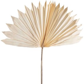 Τεχνητό Φύλλο Φοίνικας Serenoa 4081-7 30x30x50cm White Supergreens Leather,Plastic