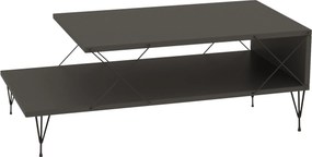 Τραπεζάκι Σαλονιού Ανθρακί FLOFO 100x50x40