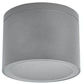 Φωτιστικό Οροφής GX53 50W IP65 Pro Eurolamp 145-25042 Γκρι