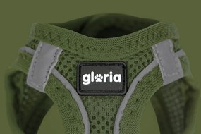 Λουρί Σκύλου Gloria 41,4-43 cm Πράσινο S 29,4-32,6 cm