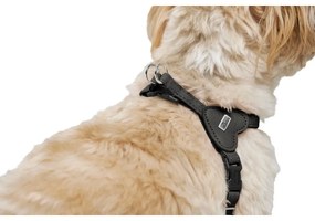 Λουρί Σκύλου Hunter SOHO MINI Μαύρο XS