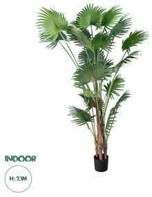 Artificial Garden PALM TREE 20014 Τεχνητό Διακοσμητικό Φυτό Φοινικόδεντρο Βεντάλια Υ210cm