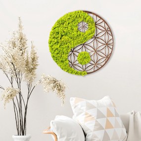 Decorative Wall Accessory Yin Yang Green
Brown