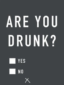 Εικονογράφηση Are you drunk, Finlay & Noa