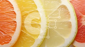 Σετ των 2 Intra Συλλεκτικό Ξύλινο Παζλ Plywood 4mm - Ανάμικτες φέτες εσπεριδοειδών σε λευκό φόντο Σε Ξύλινο Κουτί - Διαστάσεις: 10x10 cm – 25 κομμάτια