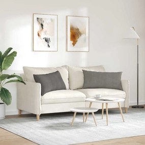 vidaXL Μαξιλάρι Καναπέ 2 pcs Ανοιχτό γκρι 80 x 40 cm