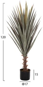 ΔΙΑΚΟΣΜΗΤΙΚΟ ΣΥΝΘΕΤΙΚΟ ΦΥΤΟ HM7987 SISAL AGAVE ΣΕ ΓΛΑΣΤΡΑ 120Υεκ.