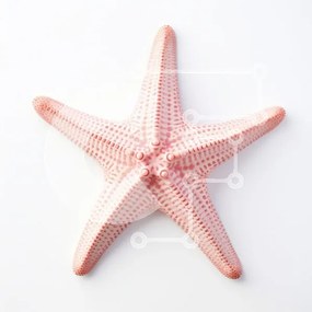 Intra Συλλεκτικό Ξύλινο Παζλ Plywood  4mm - Αστερίας σε άσπρο φόντο Σε Ξύλινο Κουτί - Διαστάσεις: 10x10 cm – 25 κομμάτια