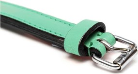 Κολλάρο Σκύλου Gloria Γεμισμένο Πράσινο (50 x 2,5 cm)