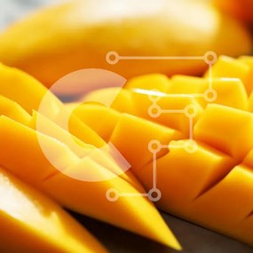 Σετ των 2 Intra Συλλεκτικό Ξύλινο Παζλ Plywood 4mm - Πολύχρωμα μάνγκο σε φέτες Σε Ξύλινο Κουτί - Διαστάσεις: 10x10 cm – 25 κομμάτια