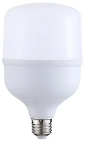 Λάμπα LED 20W 6500K T