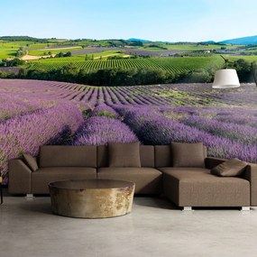 Φωτοταπετσαρία - Lavender fields 350x270