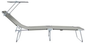 vidaXL Ξαπλώστρα 2-πρόσωπο 2 pcs Γκρι 58 x 188 x 77 εκ. ύφασμα