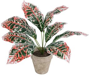 Τεχνητό Φυτό Σε Κασπώ Aglaonema 20901 Φ40x33cm Multi GloboStar Πολυαιθυλένιο,Ύφασμα