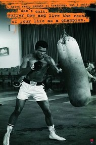 Αφίσα Muhammad Ali - Sandsack, (61 x 91.5 cm)