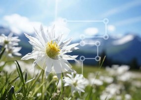 Intra Συλλεκτικό Ξύλινο Παζλ Plywood 4mm - Πεδίο με λευκά λουλούδια με θέα στο βουνό Σε Ξύλινο Κουτί - Διαστάσεις: 10x10 cm – 25 κομμάτια