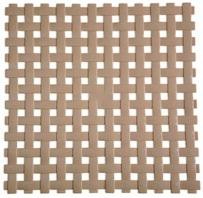 Αντιολισθητικό Πατάκι Ντουζιέρας (54x54) Octopus Plexo Tortora