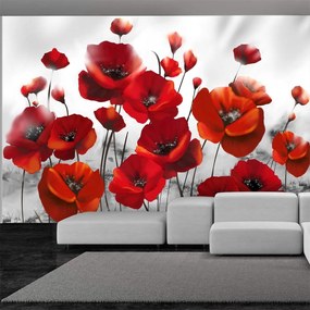 Φωτοταπετσαρία - Poppies in the Moonlight 400x280