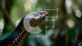 Σετ των 2 Intra Συλλεκτικό Ξύλινο Παζλ Plywood  4mm - Μαύρο και καφέ φίδι σκαρφαλωμένο σε κλαδιά Σε Ξύλινο Κουτί - Διαστάσεις: 10x10 cm – 25 κομμάτια