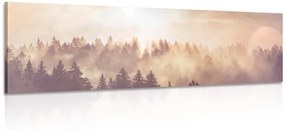 Εικόνα ομίχλης πάνω από το δάσος