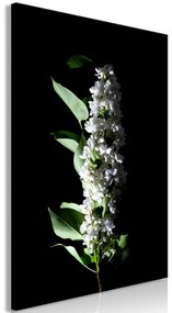 Πίνακας - White Lilacs (1 Part) Vertical - 80x120