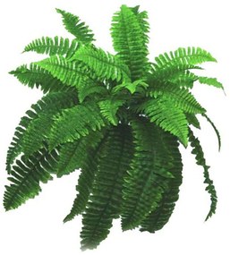 Τεχνητό Κρεμαστό Φυτό Φτέρη 00-00-1563 80x60cm Green Marhome Synthetic