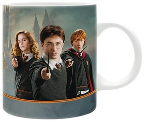 Κούπα Harry Potter - Harry & Co