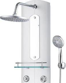 vidaXL Στήλη Ντους Υδρομασάζ Ασημί 25 x 43 x 110 εκ.