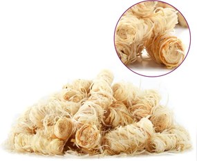 vidaXL Προσανάμματα BIO 30 κιλά