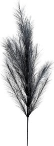 Κλαδί Pampas Μαύρο 110εκ. Zen Collection 25.32.51784