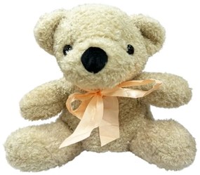 Λούτρινο Αρκουδάκι- Teddy Bear