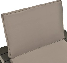 vidaXL Καρέκλες Κήπου 2 τεμ. Ανθρακί Πλαστικές με Μαξιλάρια