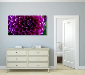 Εικόνα μωβ και βιολετί λουλούδι - 120x60