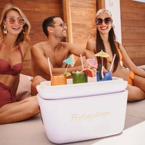Ψυκτική τσάντα Polarbox Pop, 20 λίτρα, πολυστυρόλ AIRPOP, 5-15 °C έως 24 ώρες, Πράσινο/Μωβ