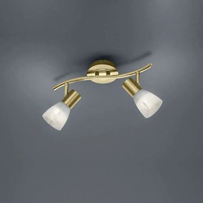 Φωτιστικό Οροφής-Σποτ Led Levisto 2x400Lm 33x19x10cm Brass Mat 871010208 Trio Lighting Metal, Glass