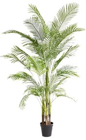 PALM TREE  NP5501_210_22  ΥΨΟΣ 210cm NewPlan