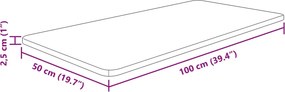 vidaXL Πάγκος Μπάνιου Ανοιχτό Καφέ 100x50x2,5 εκ. Επεξ. Μασίφ Ξύλο