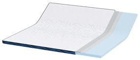 vidaXL Στρώματα Λευκό και Μπλε 200 x 200 cm