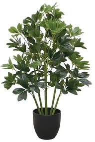 MarHome ΔΕΝΤΡΟ ΣΕΦΛΕΡΑ ΣΕ ΚΑΣΠΩ - Υ80cm 4/KIB  04-10096
