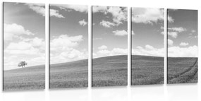 Εικόνα 5 μερών όμορφη μέρα στο λιβάδι σε ασπρόμαυρο - 100x50