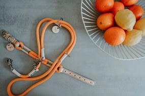 Κολλάρο Σκύλου Hunter Malia Πορτοκαλί M/L 45-54 cm