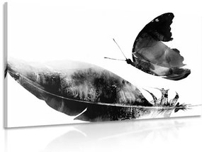 Φτερό εικόνας με πεταλούδα σε ασπρόμαυρο σχέδιο - 120x80