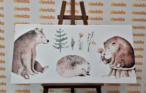 Εικόνα από ζώα που κάθονται στο δάσος - 100x50