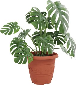 vidaXL Στρογγυλή Γλάστρα Λουλουδιών 24 pcs Κεραμιδί Ø 30 x 25 εκ